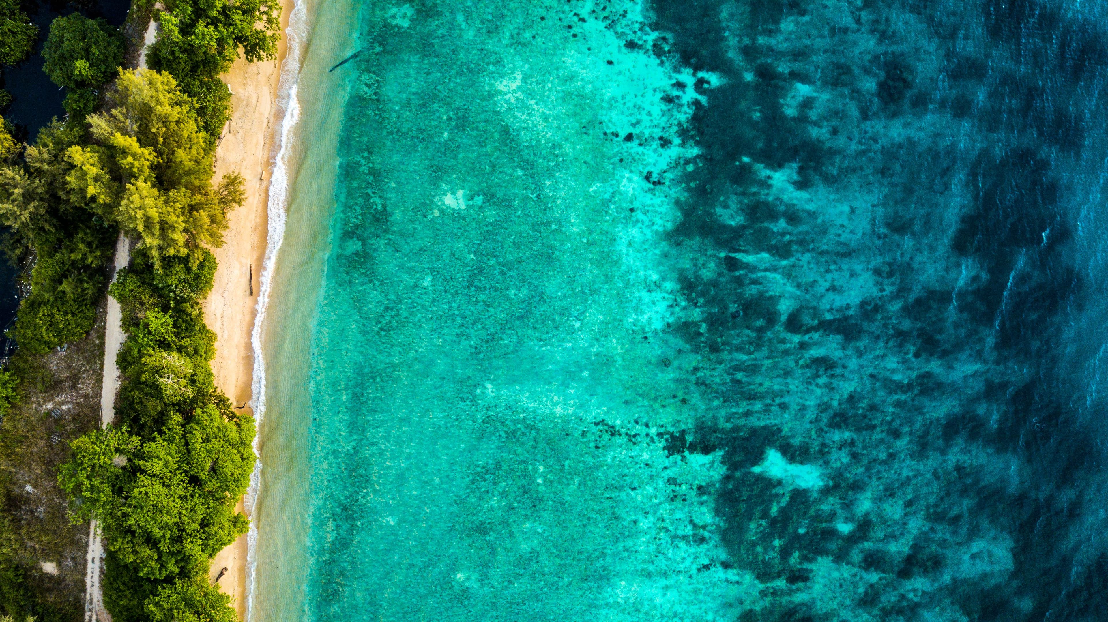 Top 6 Best 3 Days 2 Night Tioman Package Tours by LAGO Travel