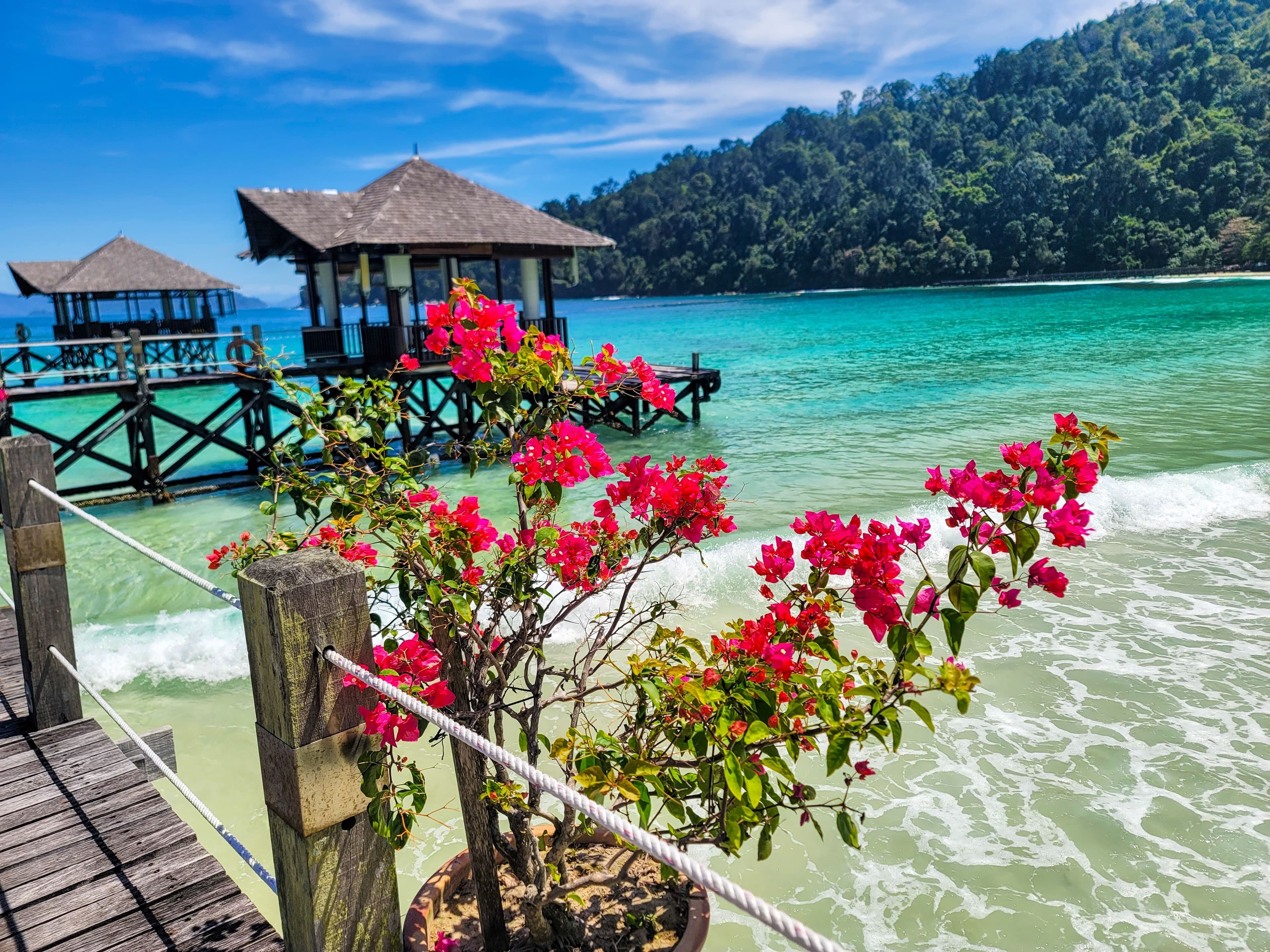Malaysia’s Best Resorts & Spas for Budget-Friendly Eco Relaxation
