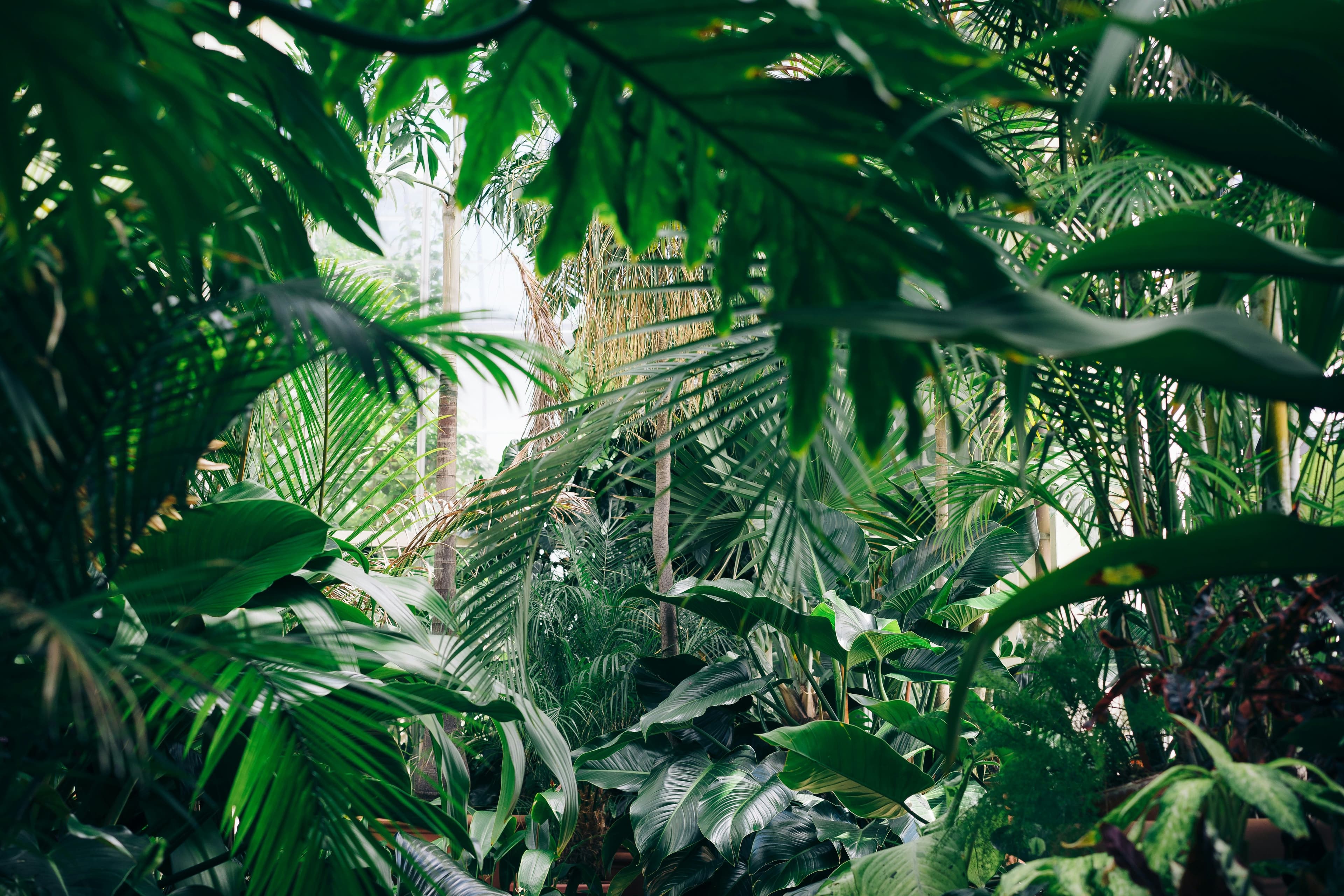 Wellness Travel 2026: Best Retreats for Mindful Escapes in Malaysia