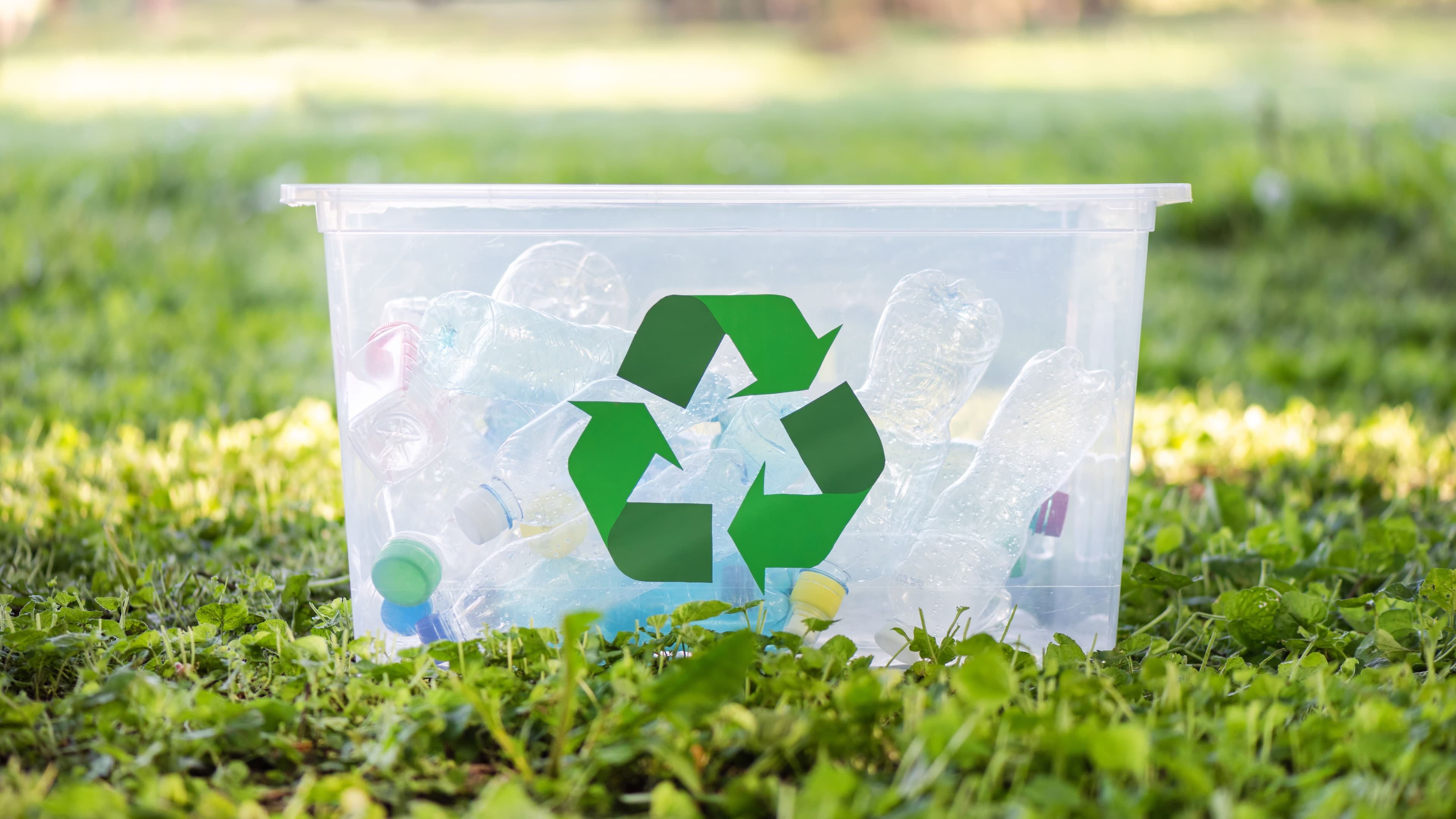 Zero Waste Travel Tips for Touring Malaysia the Thoughtful Way