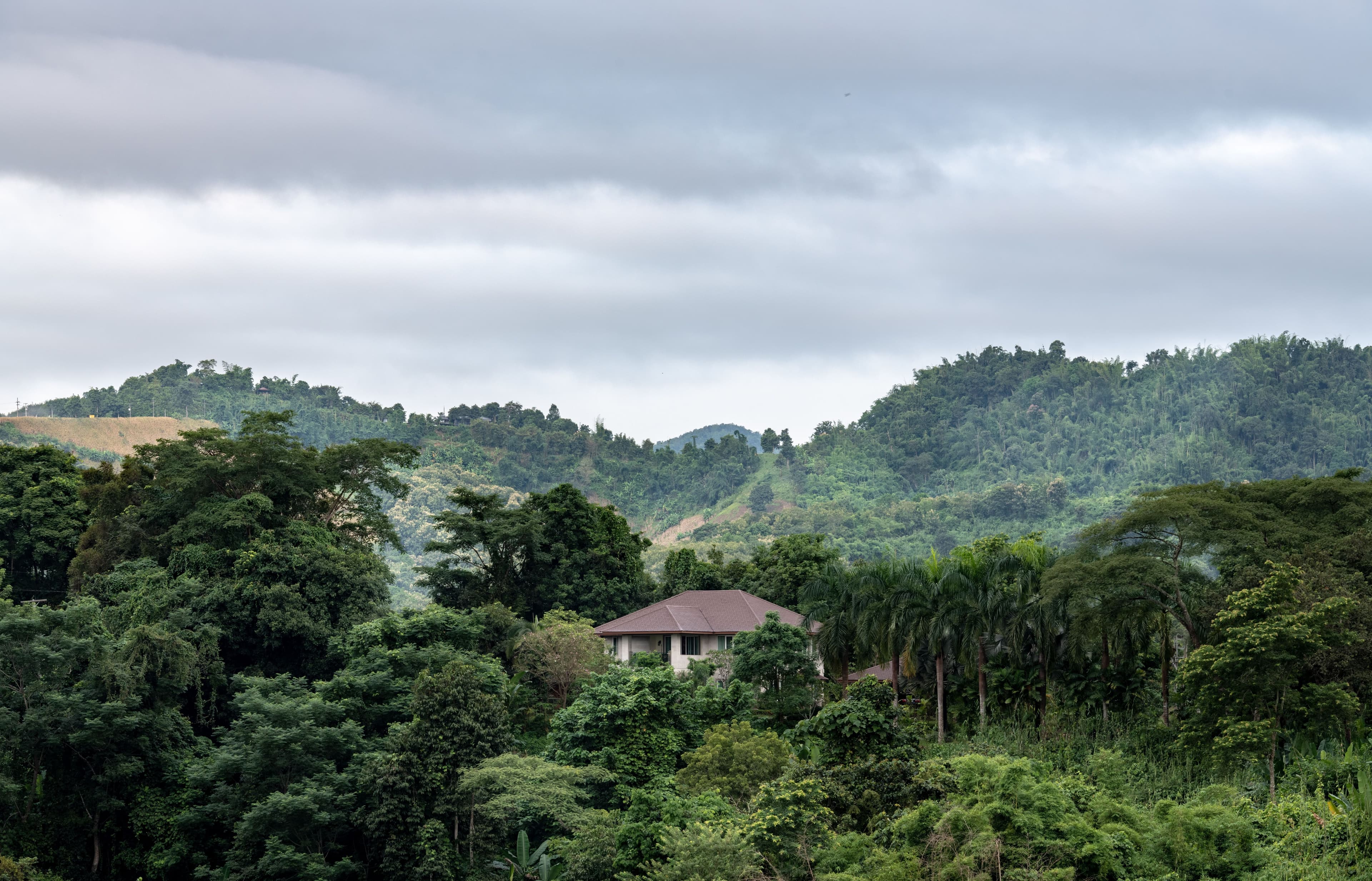 Rainforest Retreats in Malaysia: Where to Unplug and Reconnect in 2026